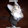 kerkevik_2014: (pwease can i haz one?)