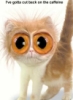 kerkevik_2014: (Caffeine Kitteh)