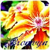 bronwynferchdai: Bronwyn Flower (Default)