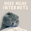 girlgeek: (Lolcat: MOAR INTARWEBZ PLS)