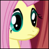 ambelies: a shocked fluttershy (*blink blink*, shock, wha?)