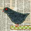 jeyhawk: (bird)