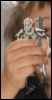 sufperpan: grievous (pic#935230)