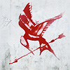 frith_in_thorns: (HG Mockingjay paint)
