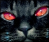 eternally_aggrieved: (Red Eyes)