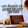 analoguechild: Cat sprawled out behind a laptop in use with the text: Cats humor us because they know that their ancestors ate ours. (Cat + Laptop/Work)