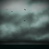 calledtoventure: black birds above black water beneath the clouds of a gray-green sky (neath)
