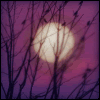 thai_thai: (waltz of the moon)