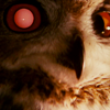 wepon: a robot owl stares past the camera (blade runner owl)
