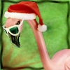 ct: A plastic flamingo wearing a santa hat. (MISC: holiday)