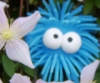 madam_beetroot: Round blue rubber ball with lots of tendrils and big eyes, in among flowers (Default)