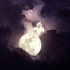 wantedemphasis: (night)