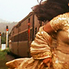 beet: (DDLJ-Run)