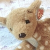 rainydaydeerling: (deer plush)