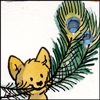 jjhunter: pleased kitten with two massive peacock feathers in its mouth (kitten with peacock feathers)