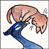 jjhunter: kitten peers playfully at beleaguered peacock from on top of its head (kitten teases peacock)