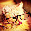 astrild: (Cat)