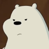isbjorn: (Ice bear doesn't like you)