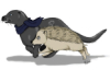 spookywanluke: Otter and Hedge (Otter)