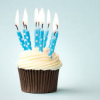 misbegotten: A cupcake with lit candles (Festivity Birthday Cupcake)