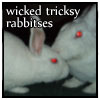 fyrdrakken: (Wicked tricksy rabbitses)