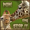 florahart: (Mom! Stop it!)