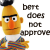 james: bert from sesame street does not approve (bert does not approve)
