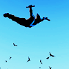 lockheart: icon of nightwing jumping (setting fire to the sky)