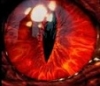 feral_dreams: dragon eye (dragon eye)