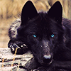 lovingyourwork: (Daemon - Relaxed)