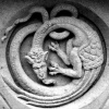 shewhostaples: A dragon carved in stone (dragon, fantasy)