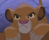 coraa: (miffed simba)