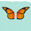 esque: two butterfly wings on a blue background (butterfly wings)