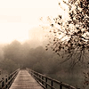 em_kellesvig: Foggy bridge in sepia tones (bridge)