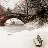 em_kellesvig: Bridge over frozen stream with snow and a bench (Winter)