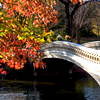 em_kellesvig: White bridge over a river with autumn trees (Fall)