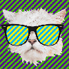 talitha78: (timepunching cat with glasses)