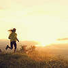 cofax7: woman running, against the sunset (running sunset)