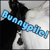 pantswarrior: Jasmine, Dusty, and Pepper in a bunnypile while undergoing a bunny bonding session. (bunnies)