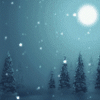 thenightsfall: (Snowy Night)
