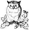 ext_960074: (CopperJet Owl)