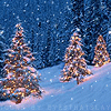 littleheaven: (Christmas Snowy Tree Lights by Eyesthats)