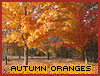 sweetmeow: (Autumn Oranges)