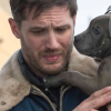 dangerous_dog: (concern with dog)