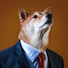 sunnymodffa: (Senator Shiba Inu)
