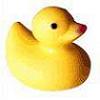 meggitymeg: (+ avatar : rubber duckie)