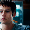shuckit: (pic#9772748)