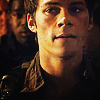 shuckit: (pic#9772814)