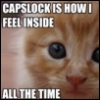 erika: A wistful kitten: "CAPSLOCK IS HOW I FEEL INSIDE -- ALL THE TIME" (words: CAPSLOCK IS HOW I FEEL)