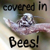 ariestess: (covered in bees!)
